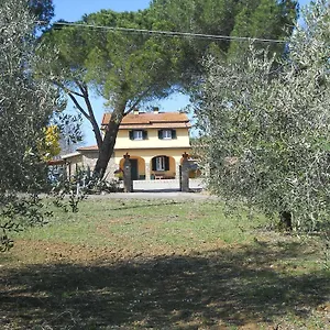 Poggio Sassineri , Magliano in Toscana Italia